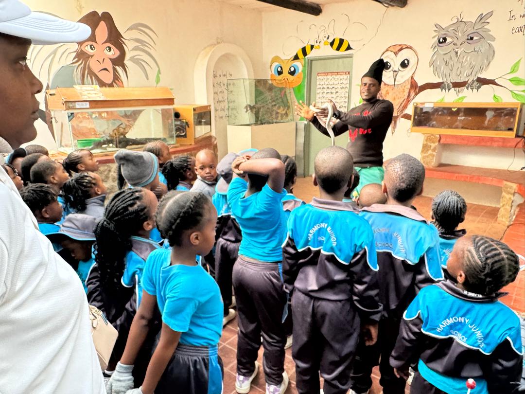 Harmony Junior School